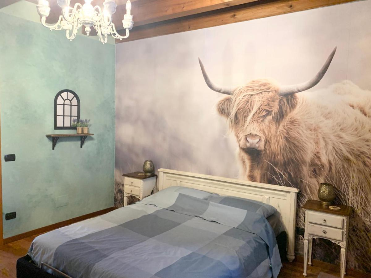 B&B Acquagrossa San Martino Buon Albergo Exteriör bild