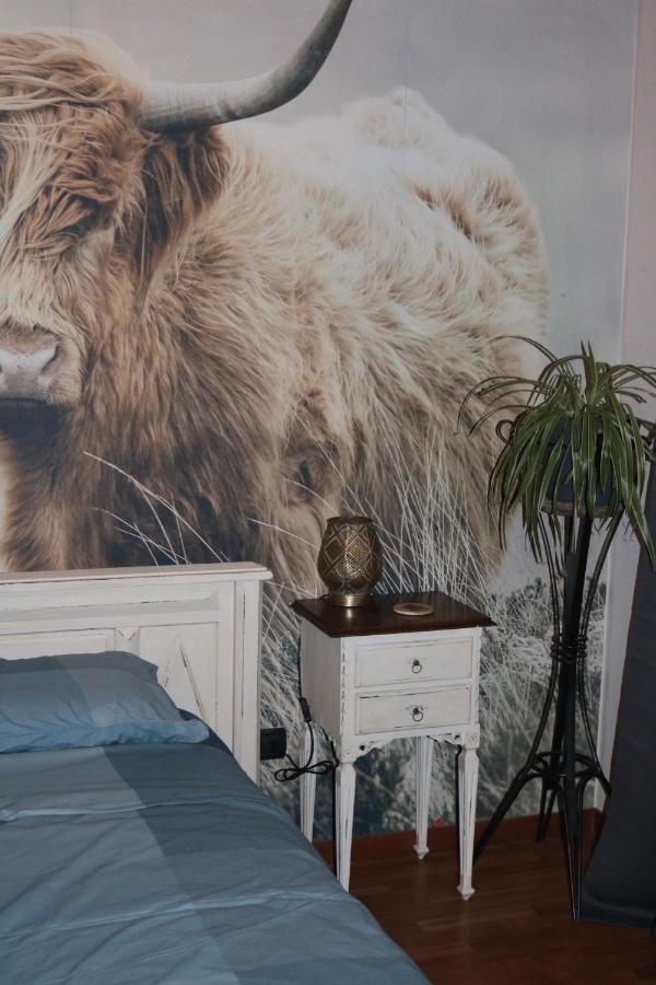 B&B Acquagrossa San Martino Buon Albergo Exteriör bild